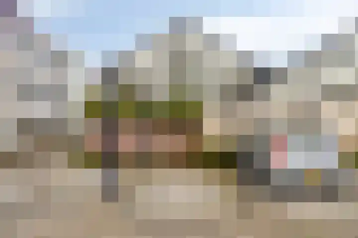 Odiliastraat 4 Uden thumbnail 36