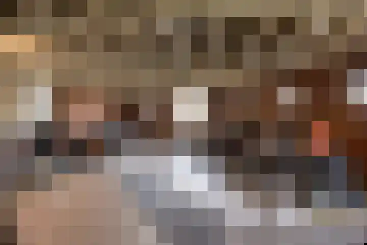 Odiliastraat 4 Uden thumbnail 37