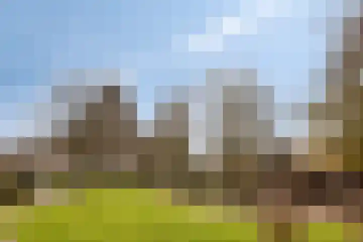 Odiliastraat 4 Uden thumbnail 38