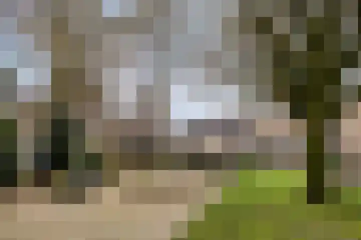 Odiliastraat 4 Uden thumbnail 39