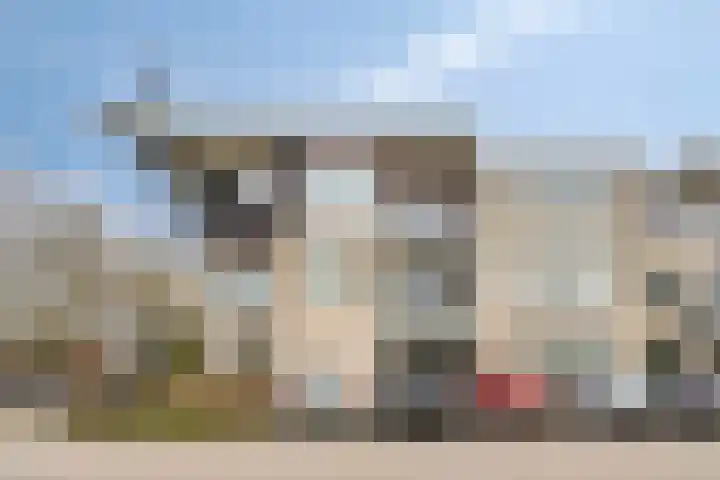 Odiliastraat 4 Uden thumbnail 5