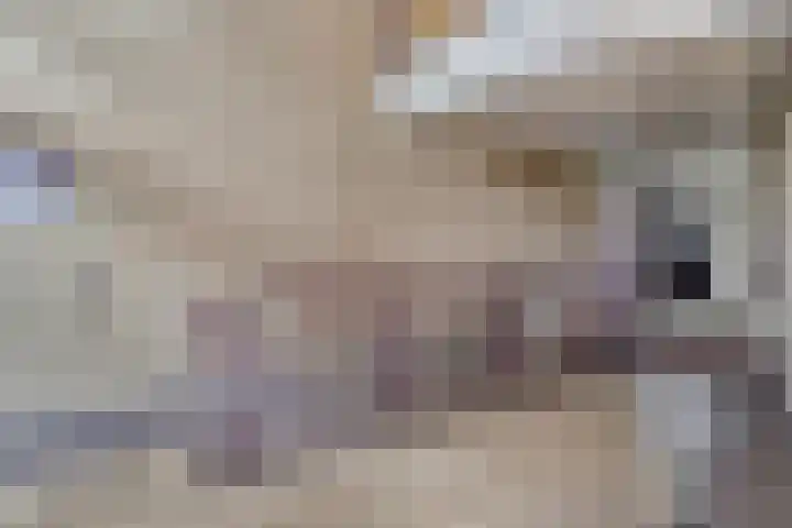 Odiliastraat 4 Uden thumbnail 7