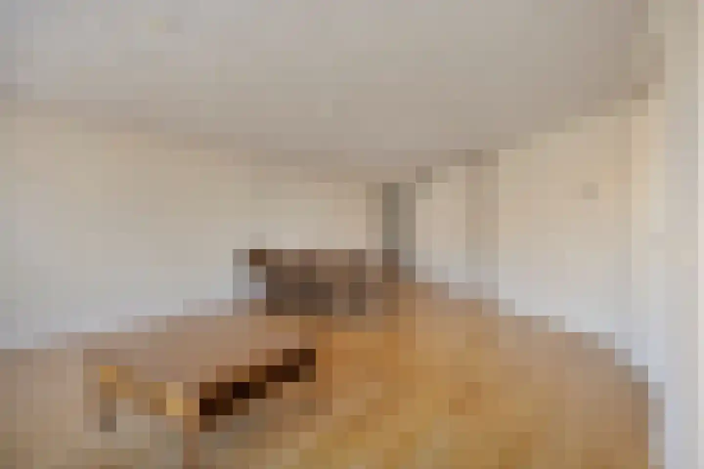 Odiliastraat 48 Uden thumbnail 10