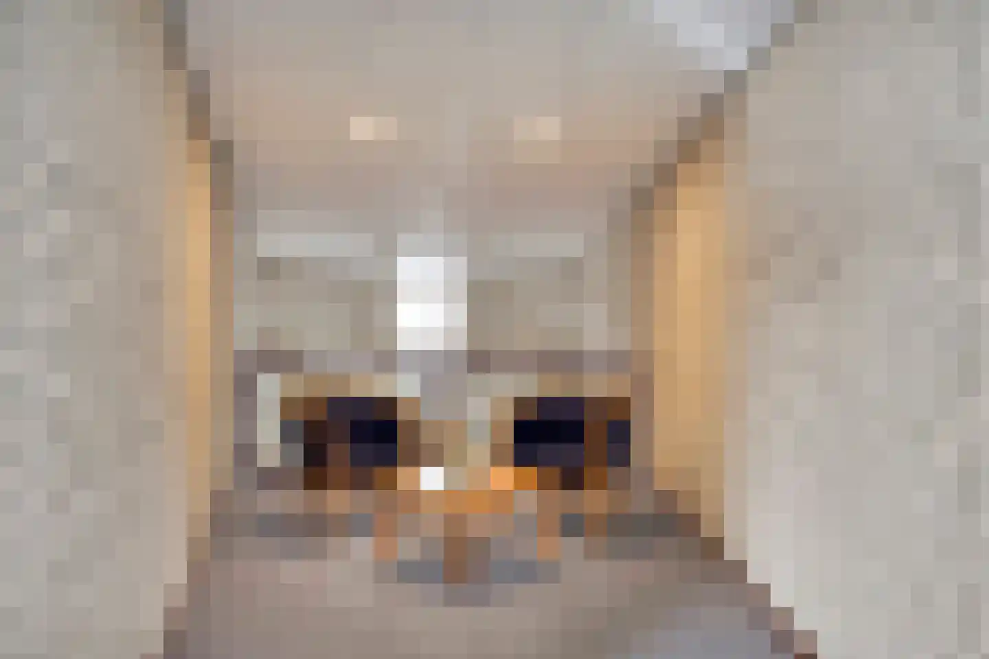 Odiliastraat 48 Uden thumbnail 27