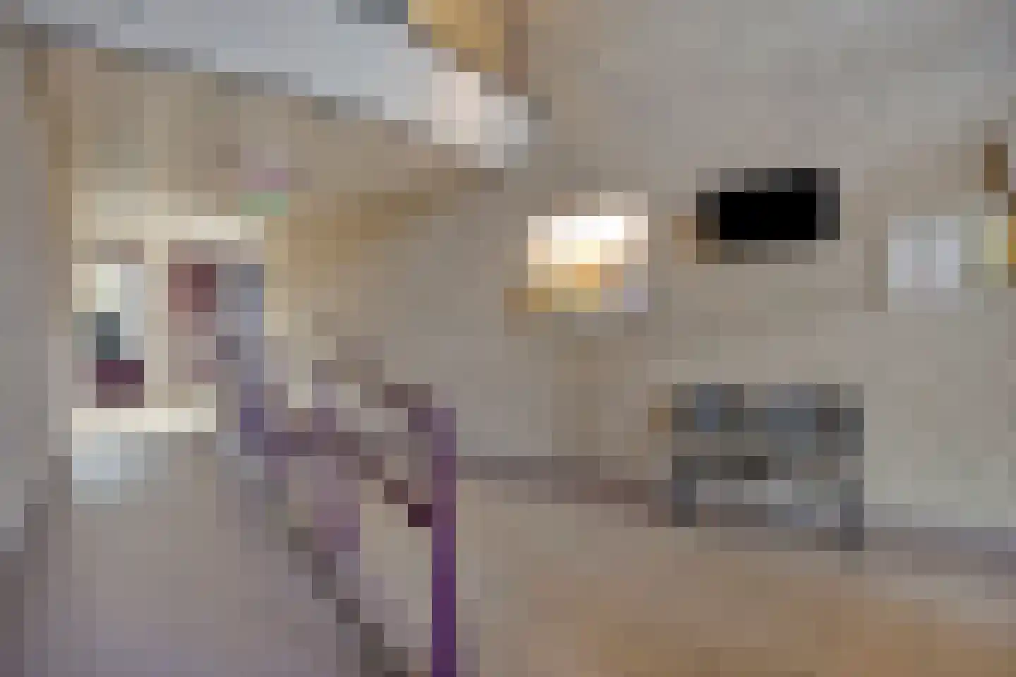 Odiliastraat 48 Uden thumbnail 30