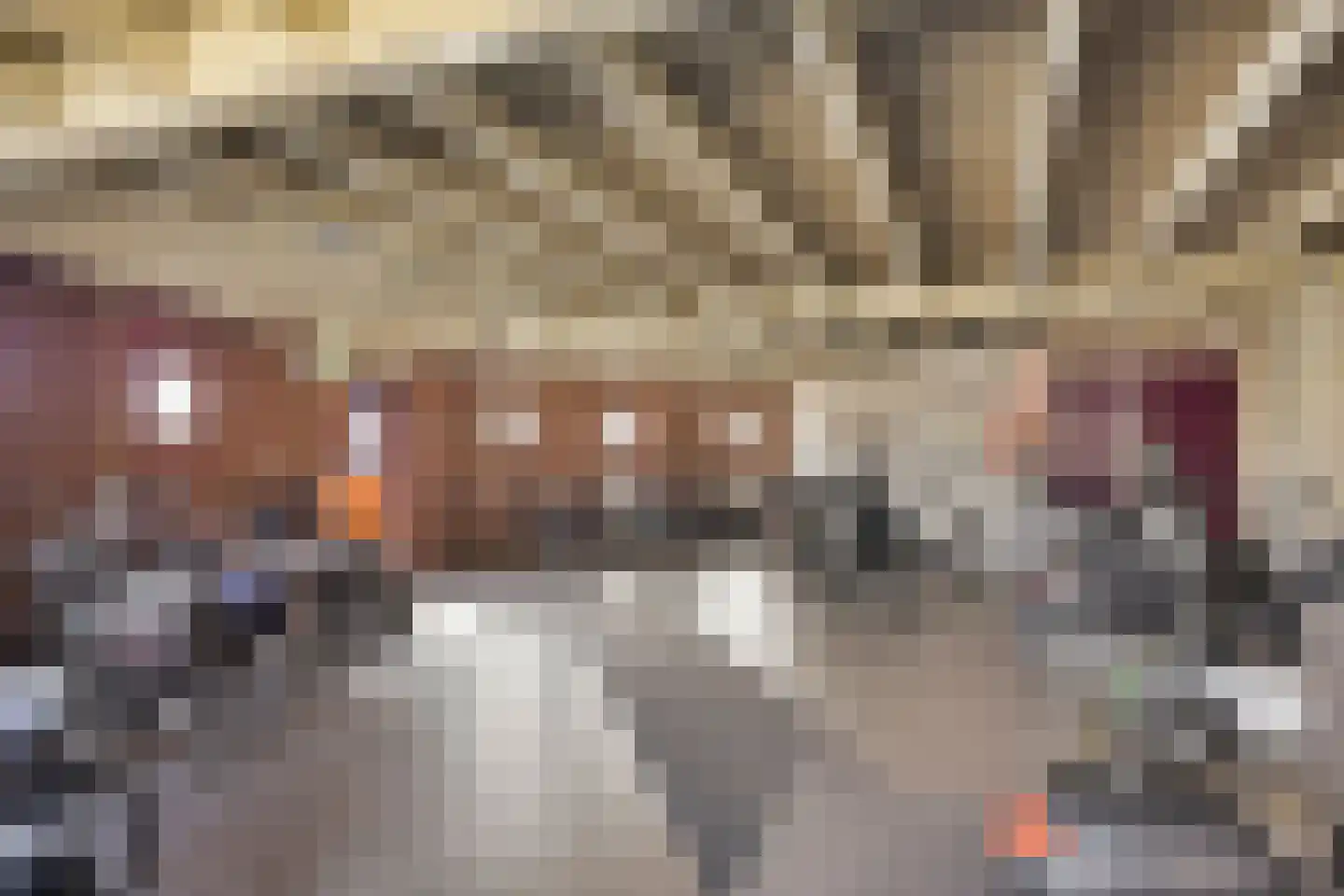 Odiliastraat 48 Uden thumbnail 33