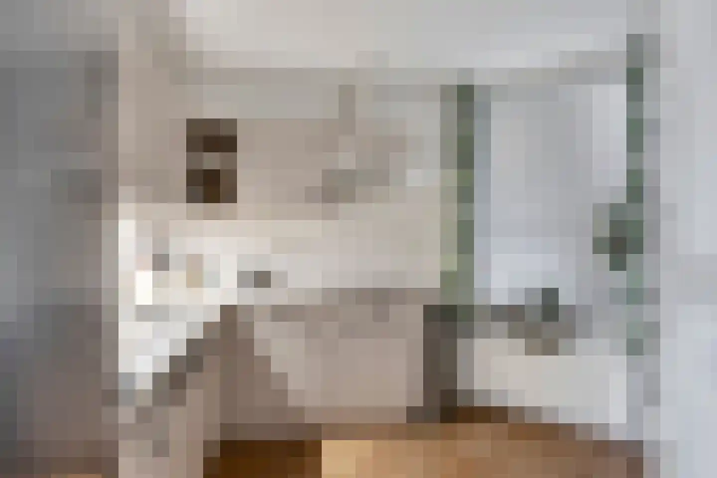Odiliastraat 54 Uden thumbnail 14