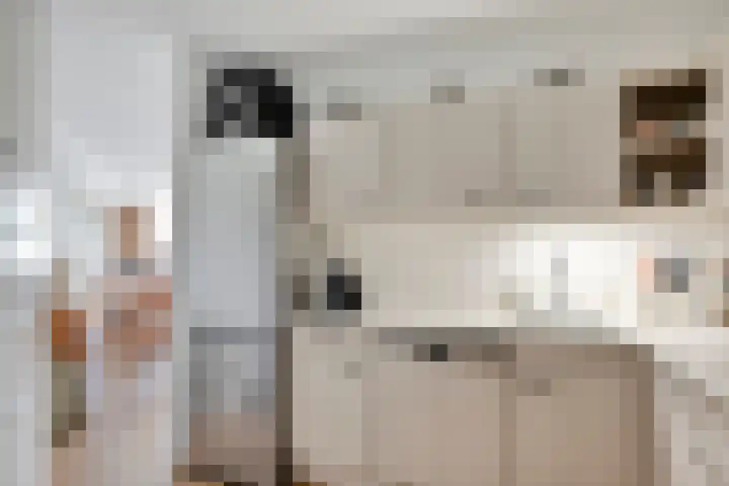 Odiliastraat 54 Uden thumbnail 15