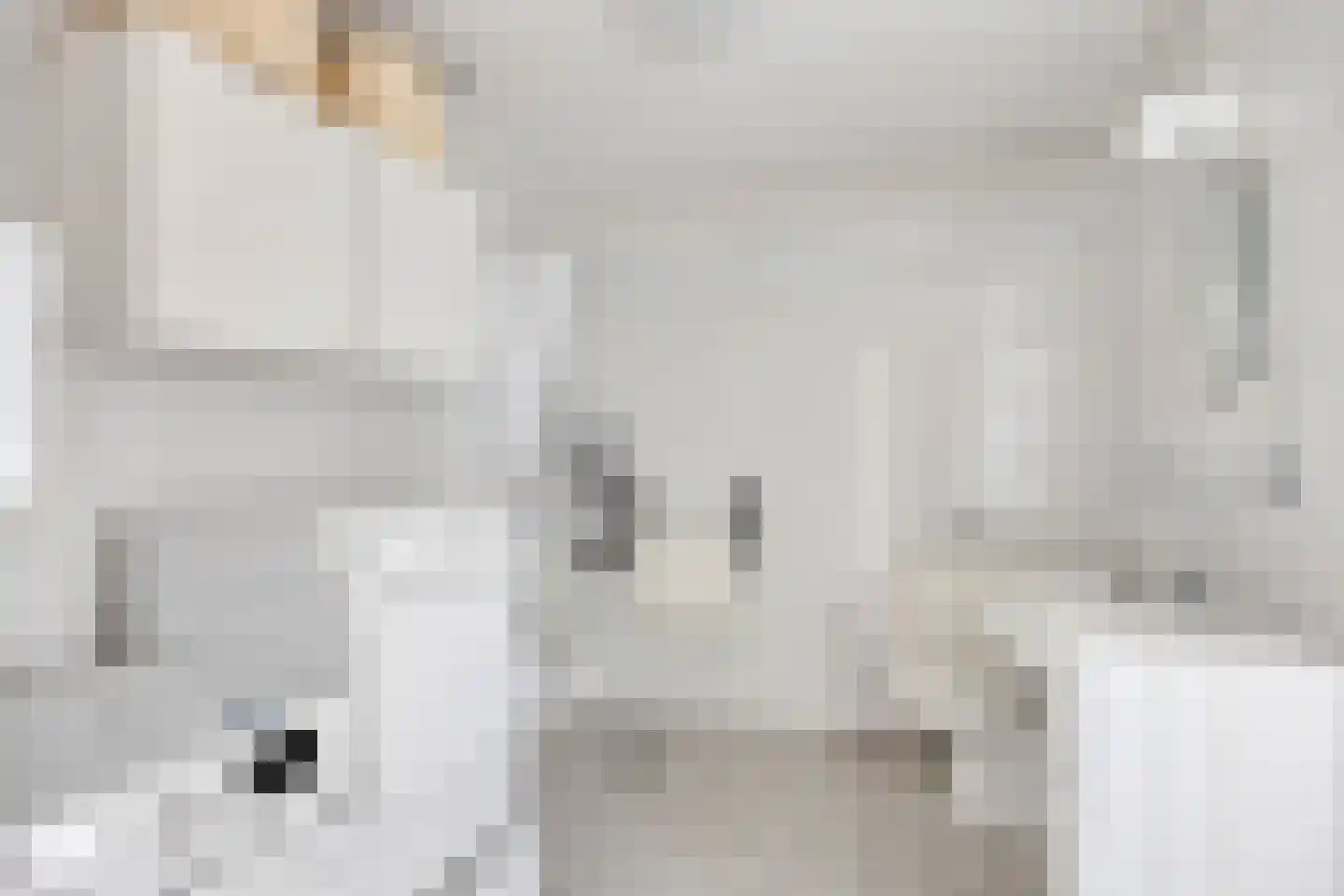 Odiliastraat 54 Uden thumbnail 18