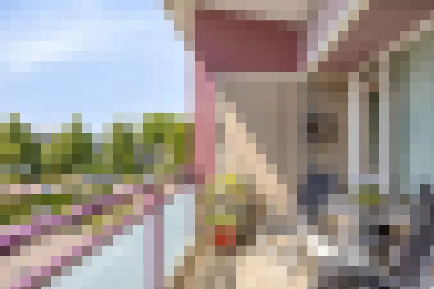 Odiliastraat 54 Uden thumbnail 22