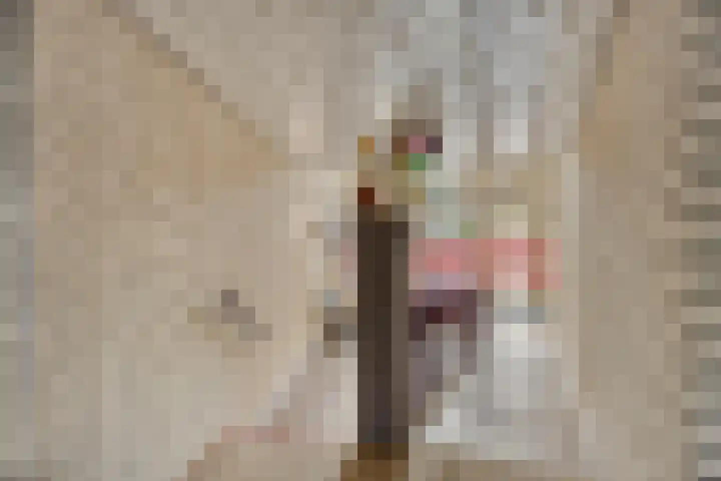 Odiliastraat 54 Uden thumbnail 6