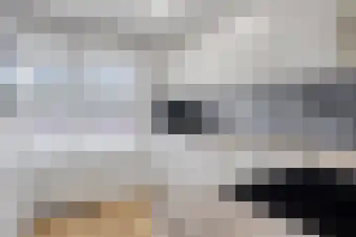 Odiliastraat 6 Uden thumbnail 17