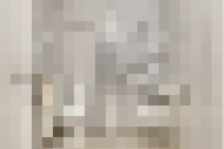 Odiliastraat 6 Uden thumbnail 22