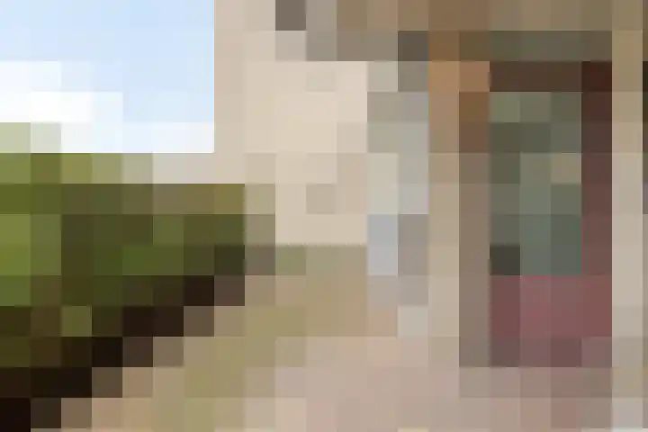 Odiliastraat 6 Uden thumbnail 25
