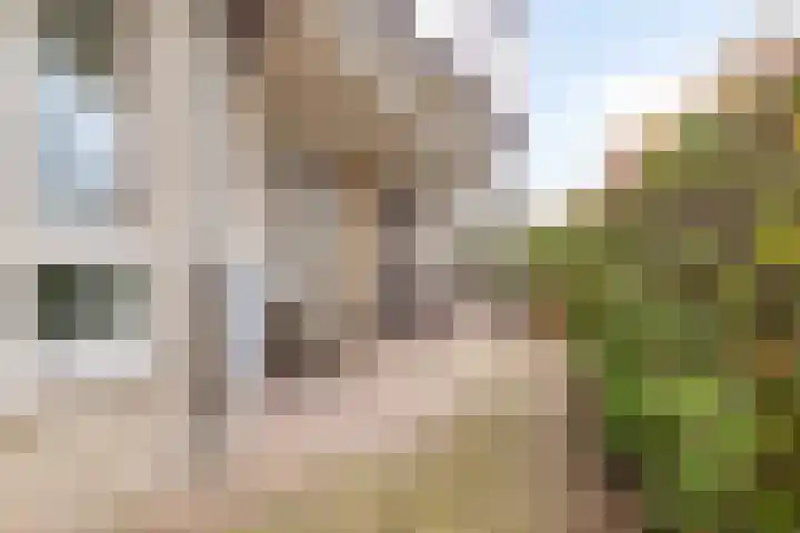 Odiliastraat 6 Uden thumbnail 26