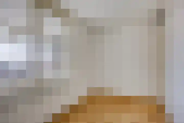 Odiliastraat 78 Uden thumbnail 21