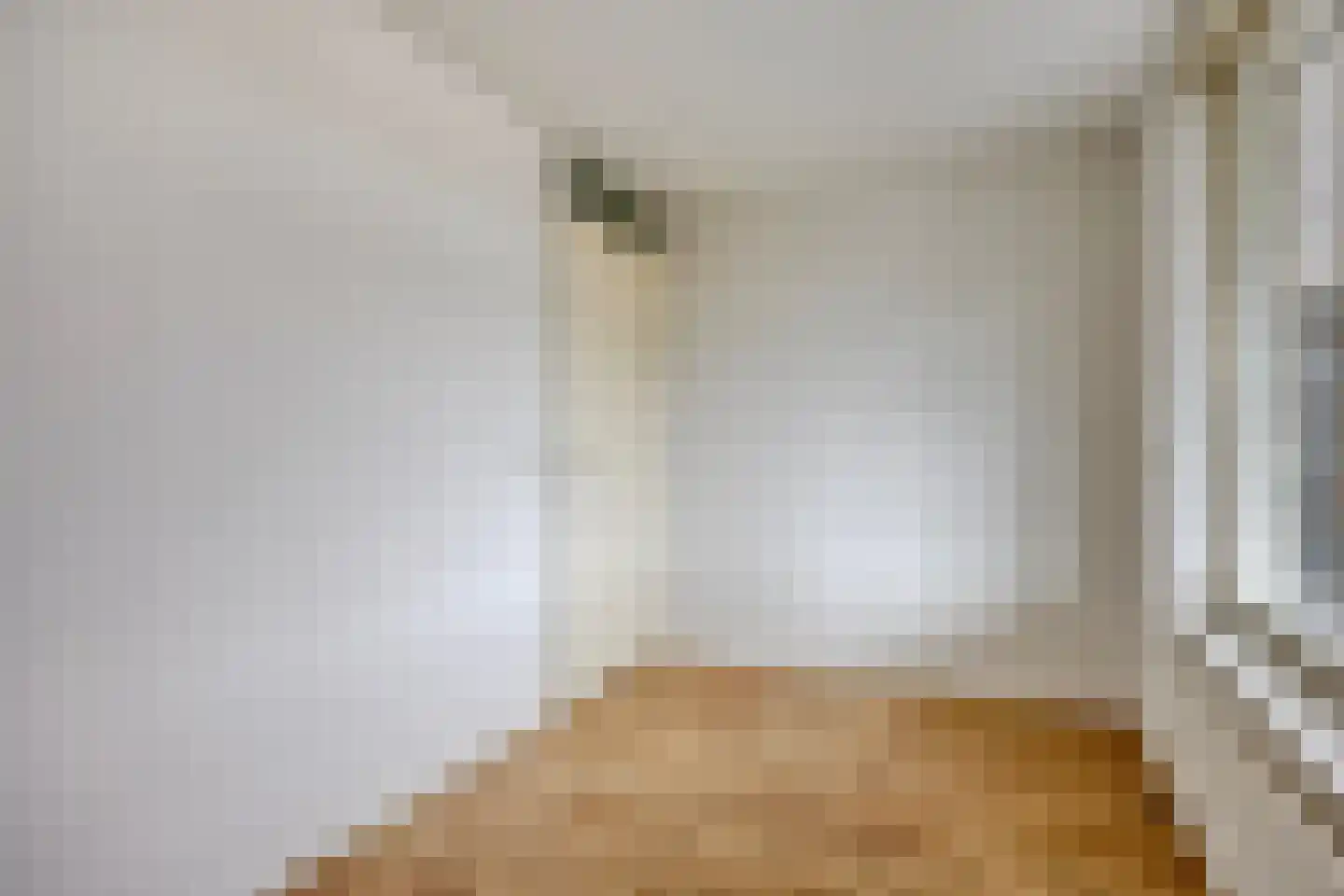 Odiliastraat 78 Uden thumbnail 22