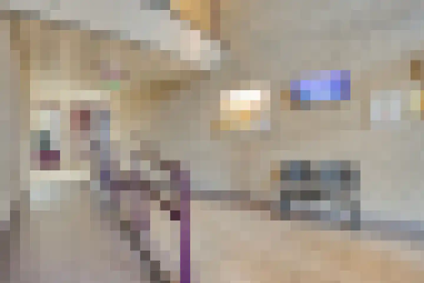 Odiliastraat 78 Uden thumbnail 28