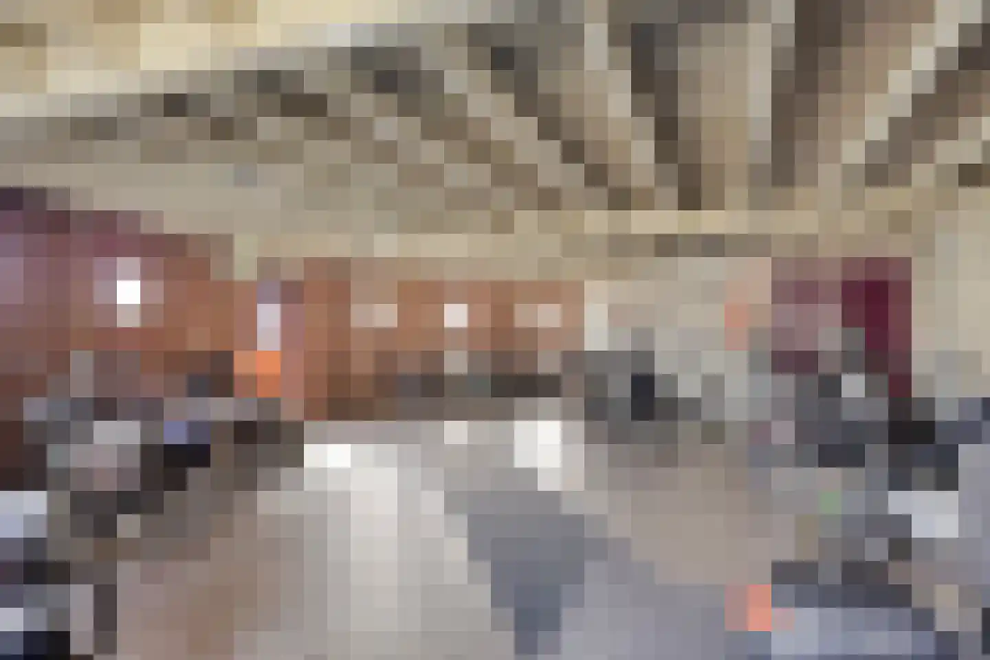 Odiliastraat 78 Uden thumbnail 32