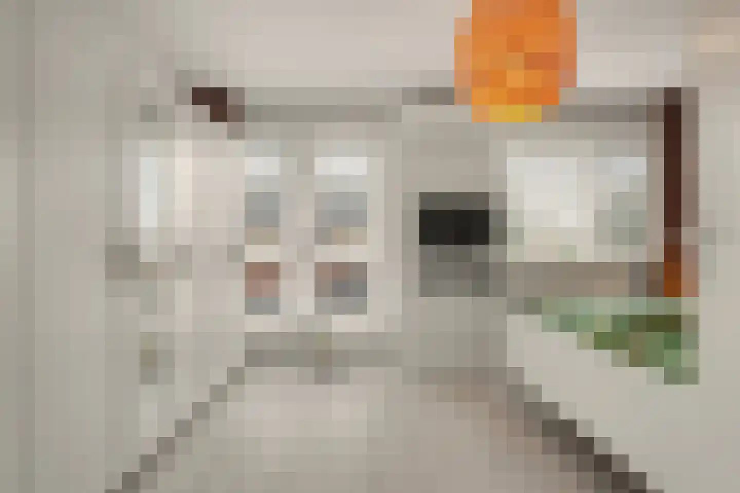 Odinholm 30 Schiedam thumbnail 28