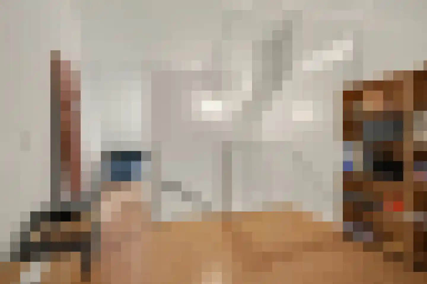 Odinholm 30 Schiedam thumbnail 35