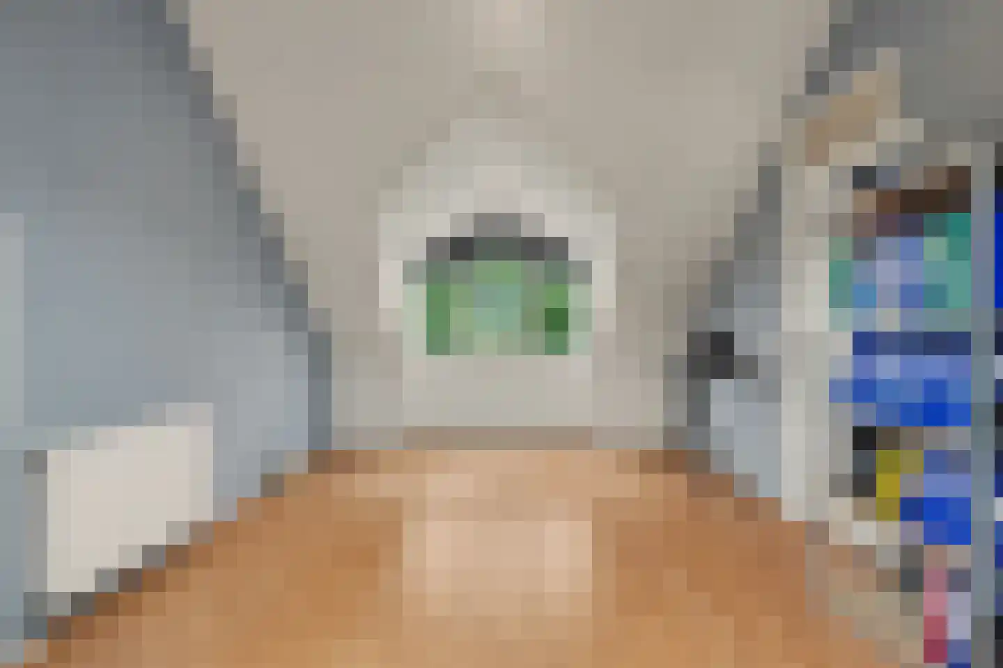 Odinholm 30 Schiedam thumbnail 37