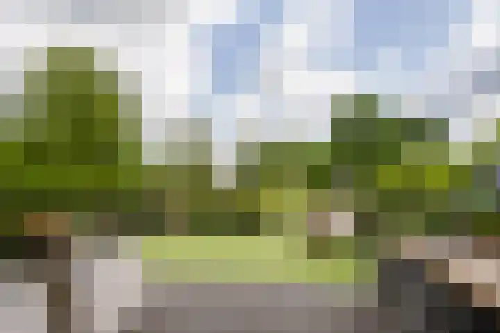 Odinholm 40 Schiedam thumbnail 21