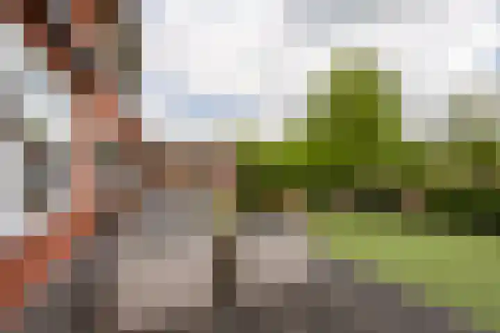 Odinholm 40 Schiedam thumbnail 22