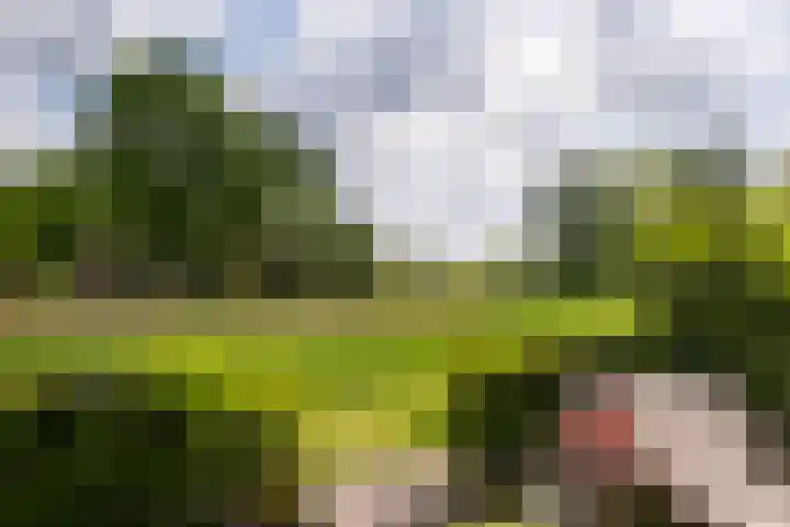 Odinholm 40 Schiedam thumbnail 26