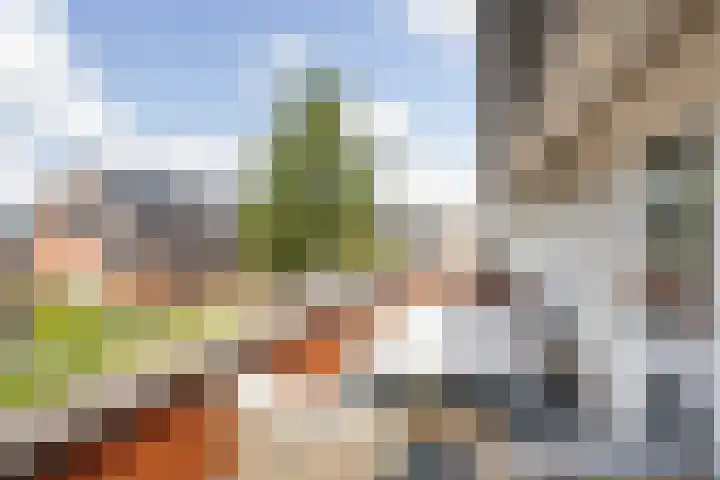 Odinholm 40 Schiedam thumbnail 35