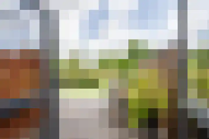 Odinholm 40 Schiedam thumbnail 4