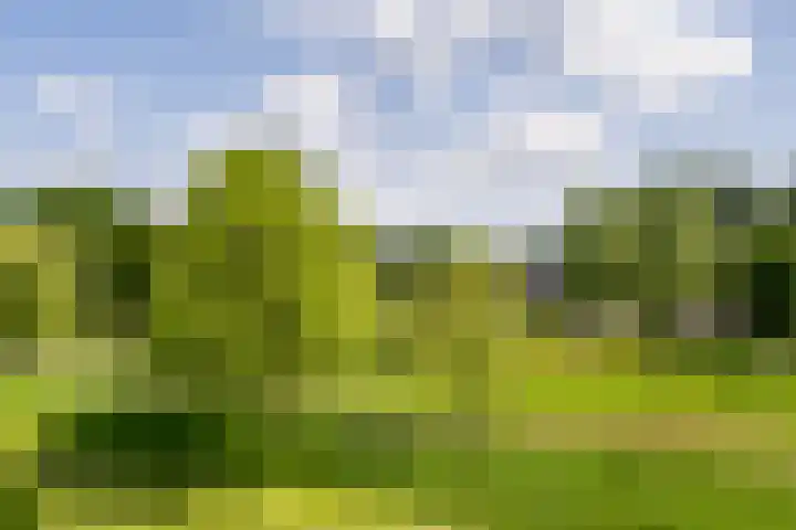 Odinholm 40 Schiedam thumbnail 51