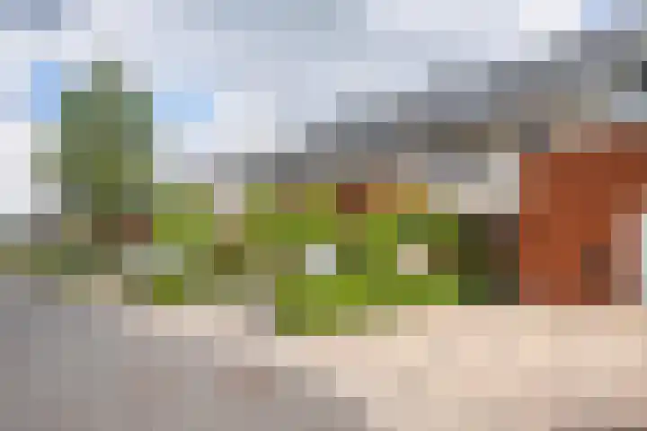 Odinholm 40 Schiedam thumbnail 6