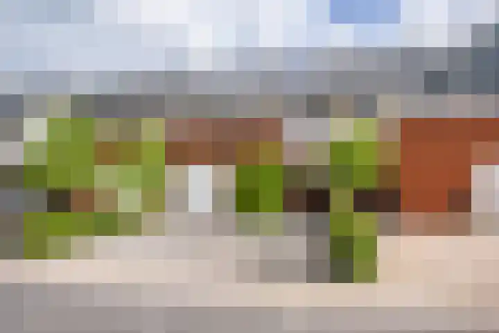 Odinholm 40 Schiedam thumbnail 7