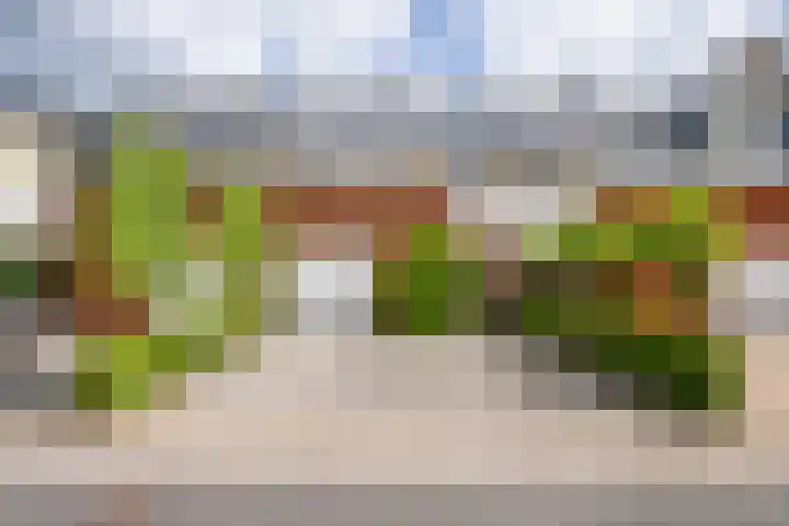 Odinholm 40 Schiedam thumbnail 8