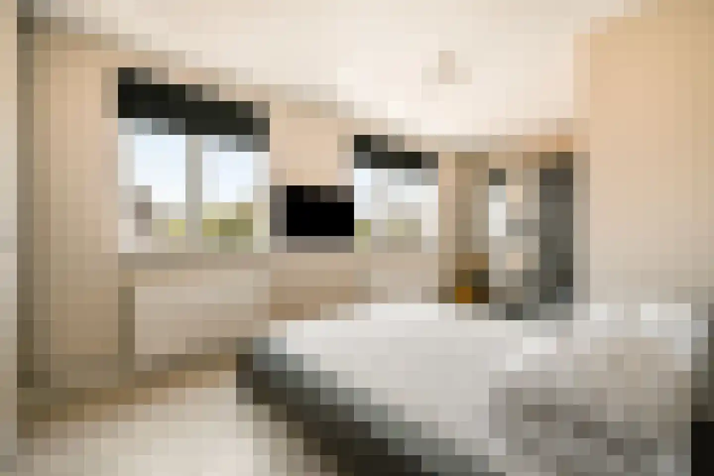Odinholm 6 Schiedam thumbnail 22