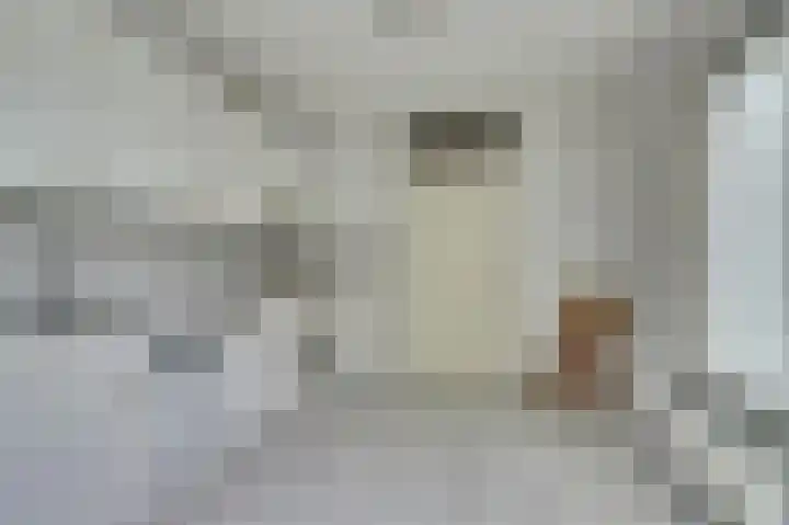 Odinstraat 1 Kapelle thumbnail 16