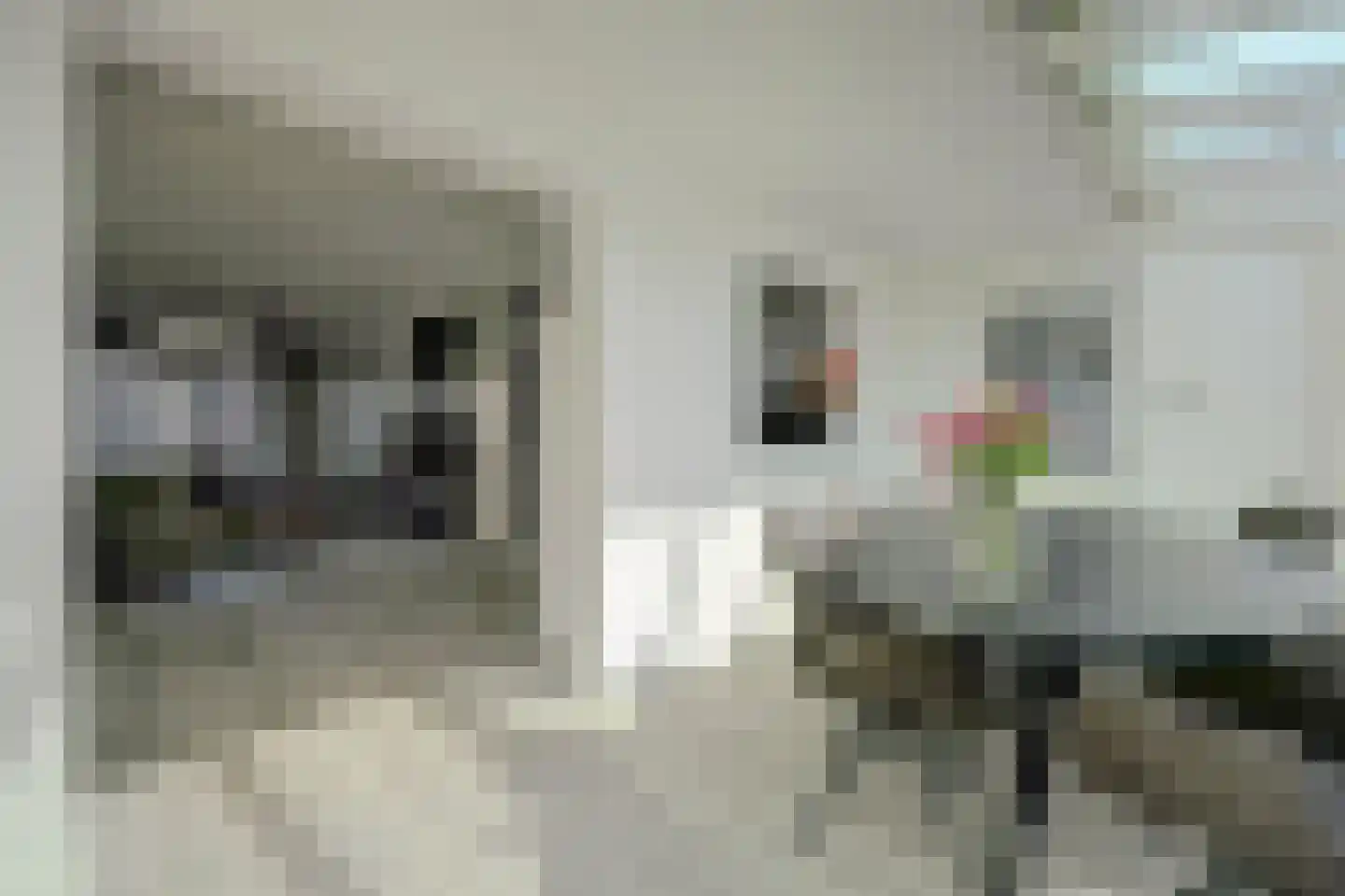Odinstraat 13 Kapelle thumbnail 12