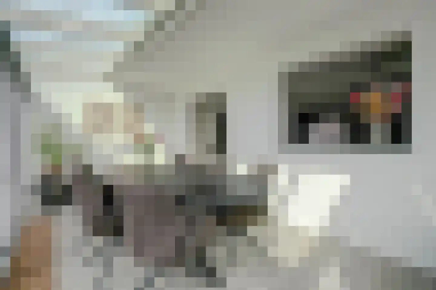 Odinstraat 13 Kapelle thumbnail 14
