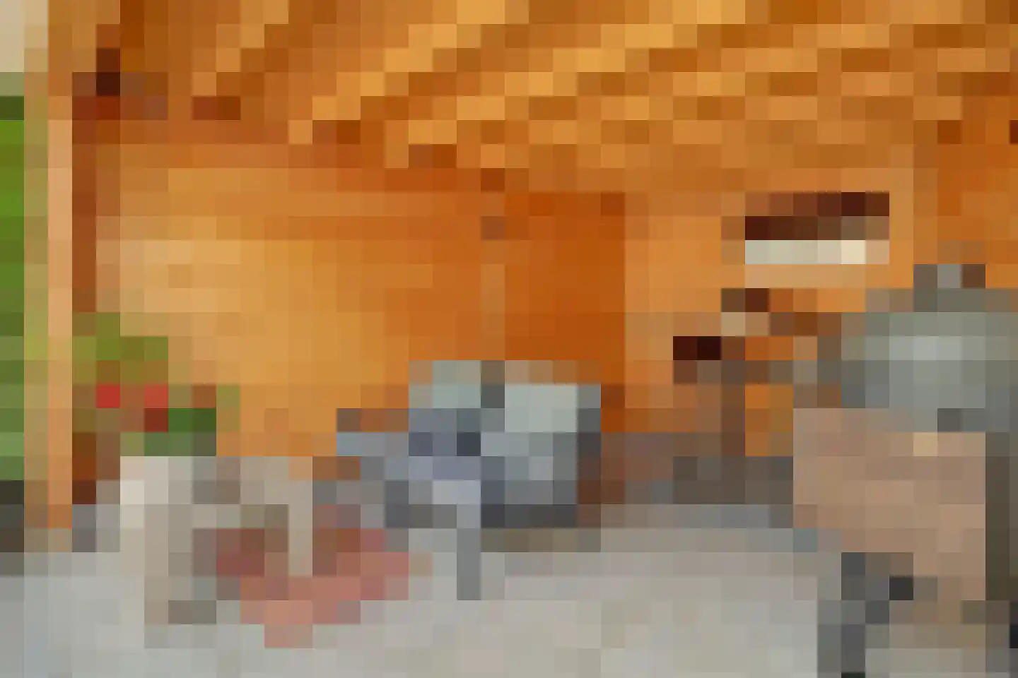 Odinstraat 13 Kapelle thumbnail 31