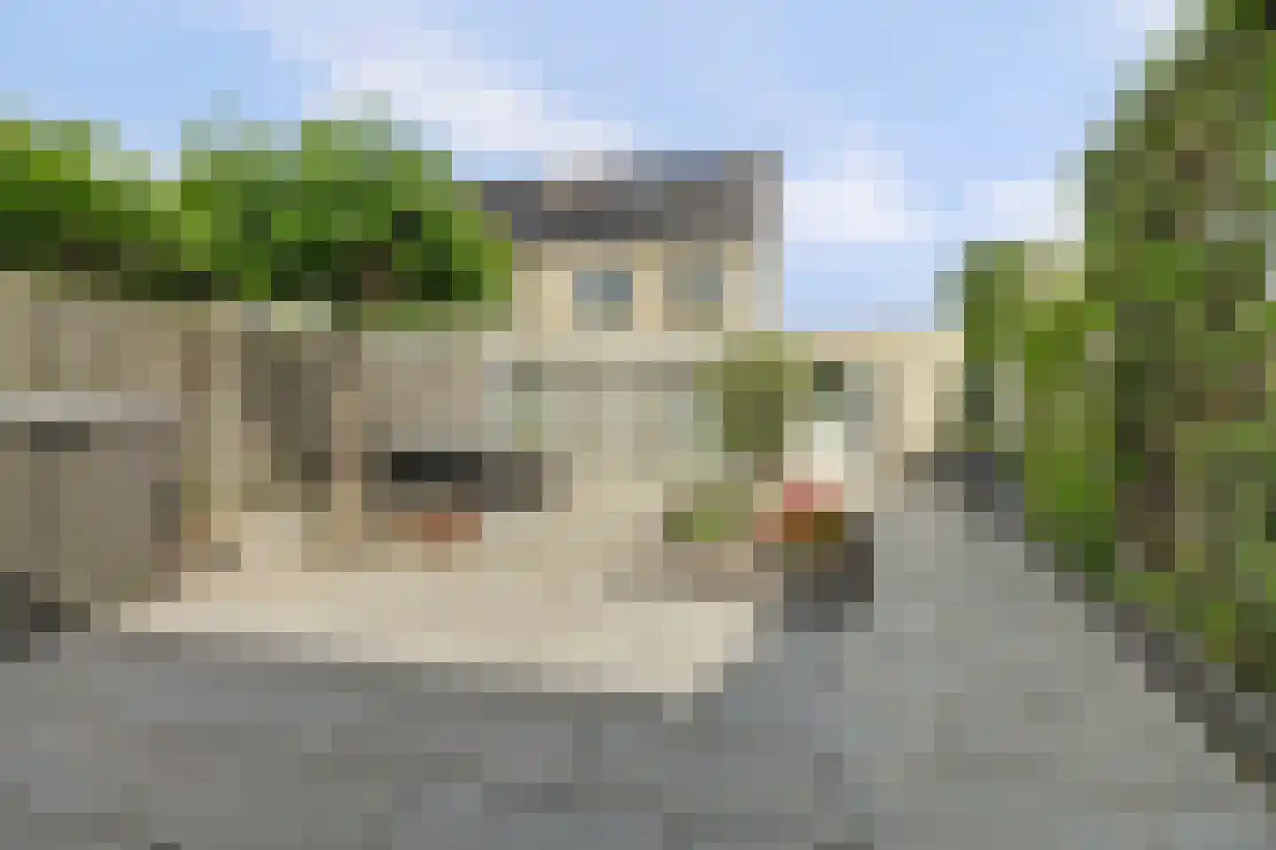 Odinstraat 13 Kapelle thumbnail 4
