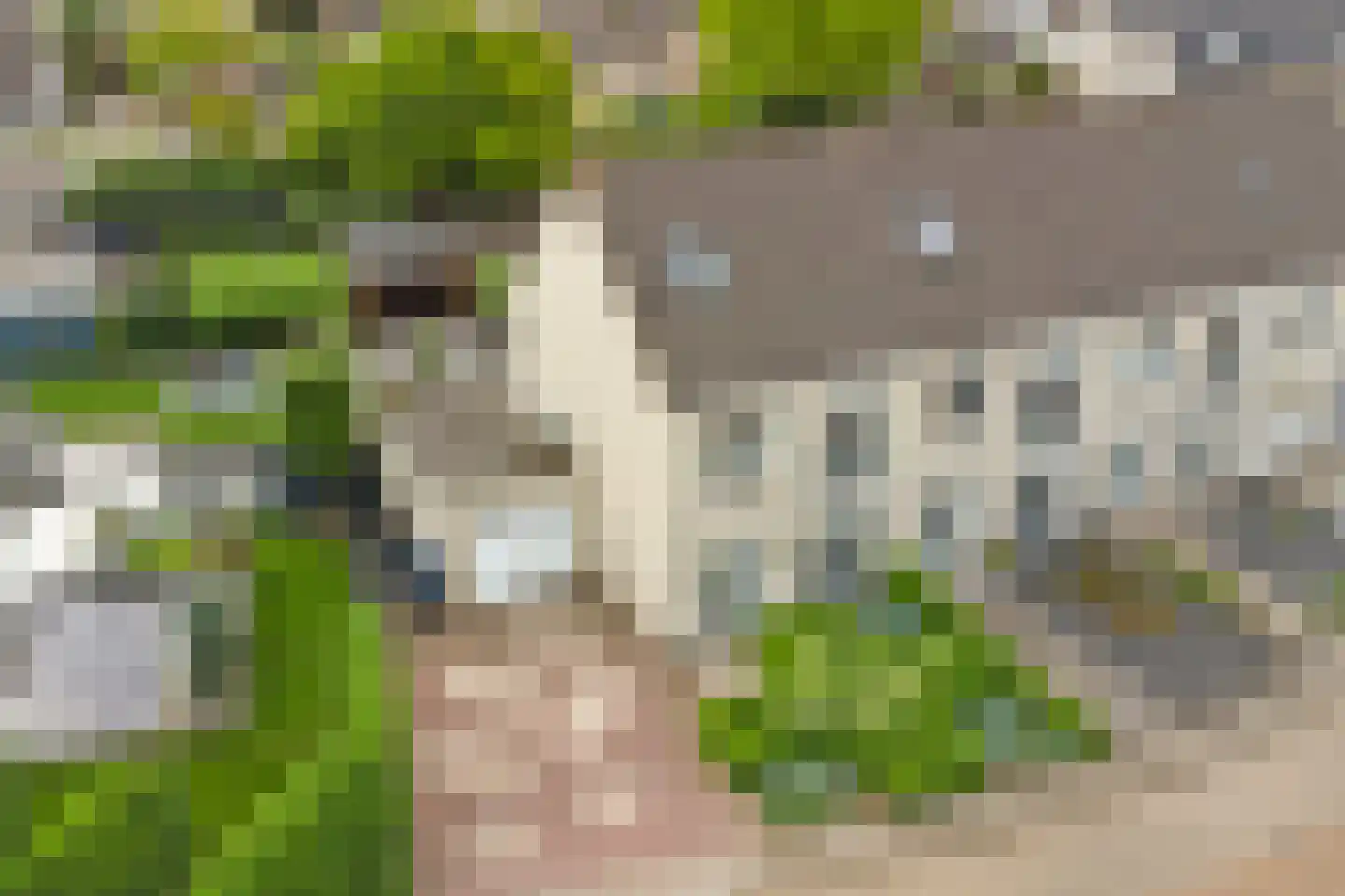 Odinstraat 13 Kapelle thumbnail 40