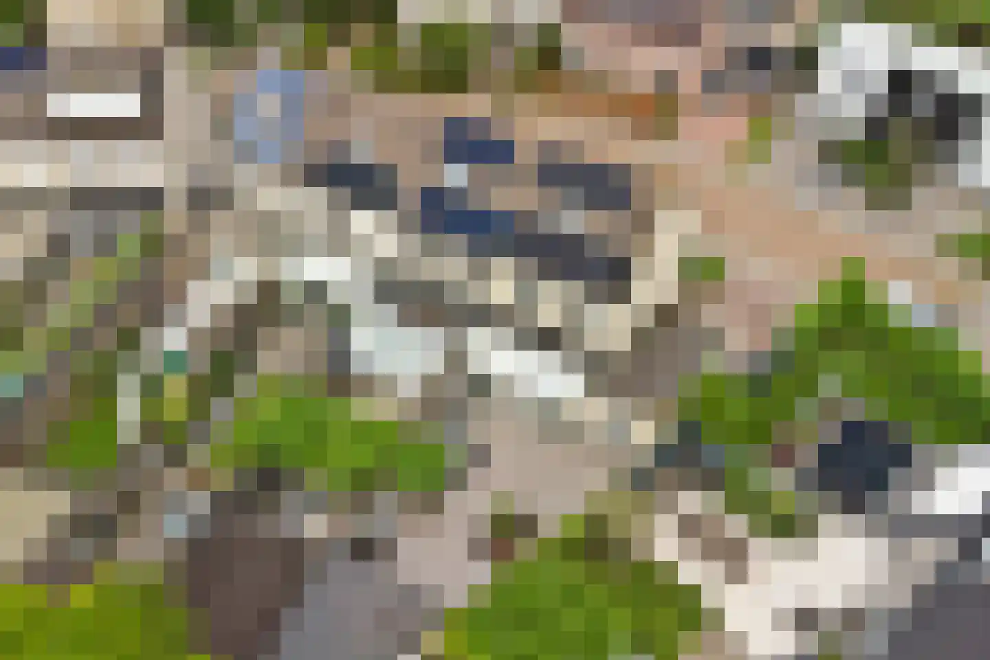 Odinstraat 13 Kapelle thumbnail 42