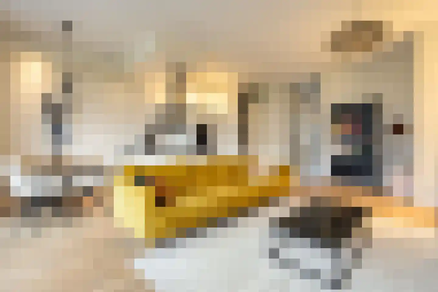 Odinstraat 14 Almere thumbnail 4