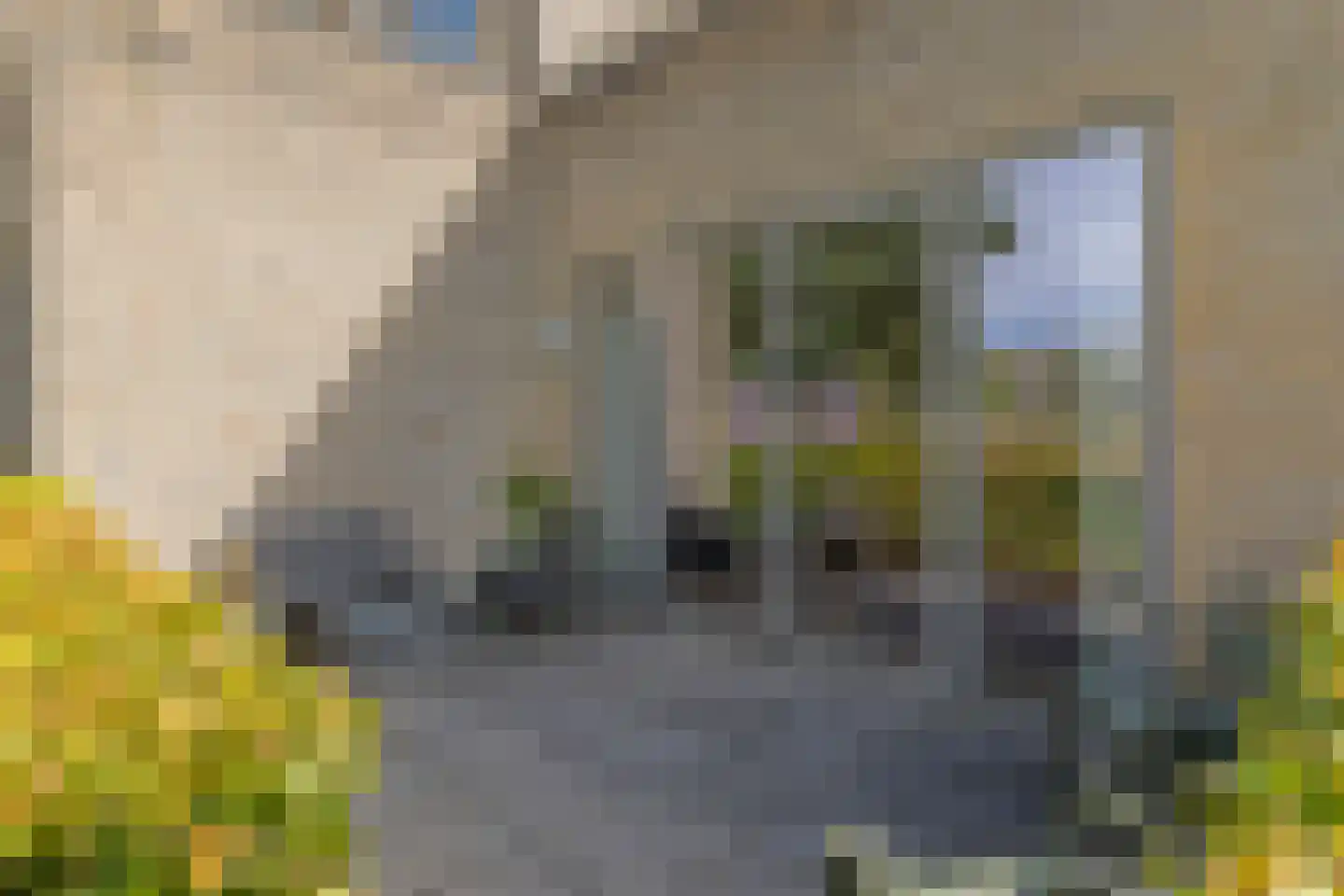 Odinstraat 34 Almere thumbnail 34