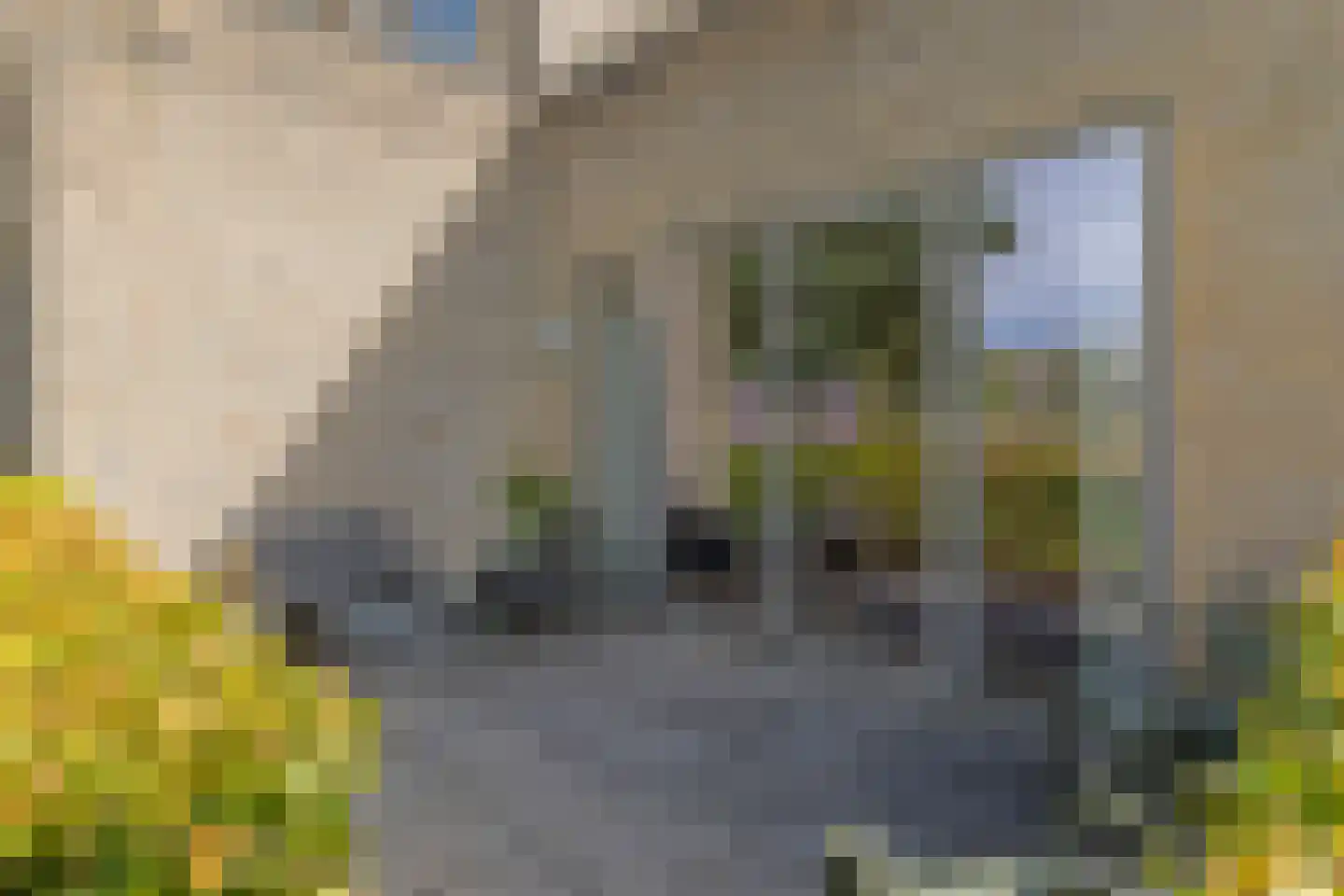 Odinstraat 34 Almere thumbnail 35