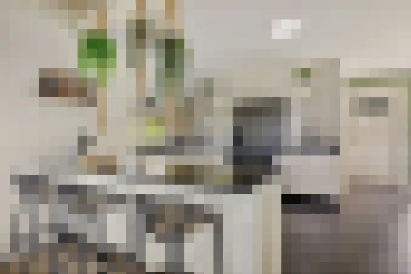 Odoornerstraat 27 Ees thumbnail 13