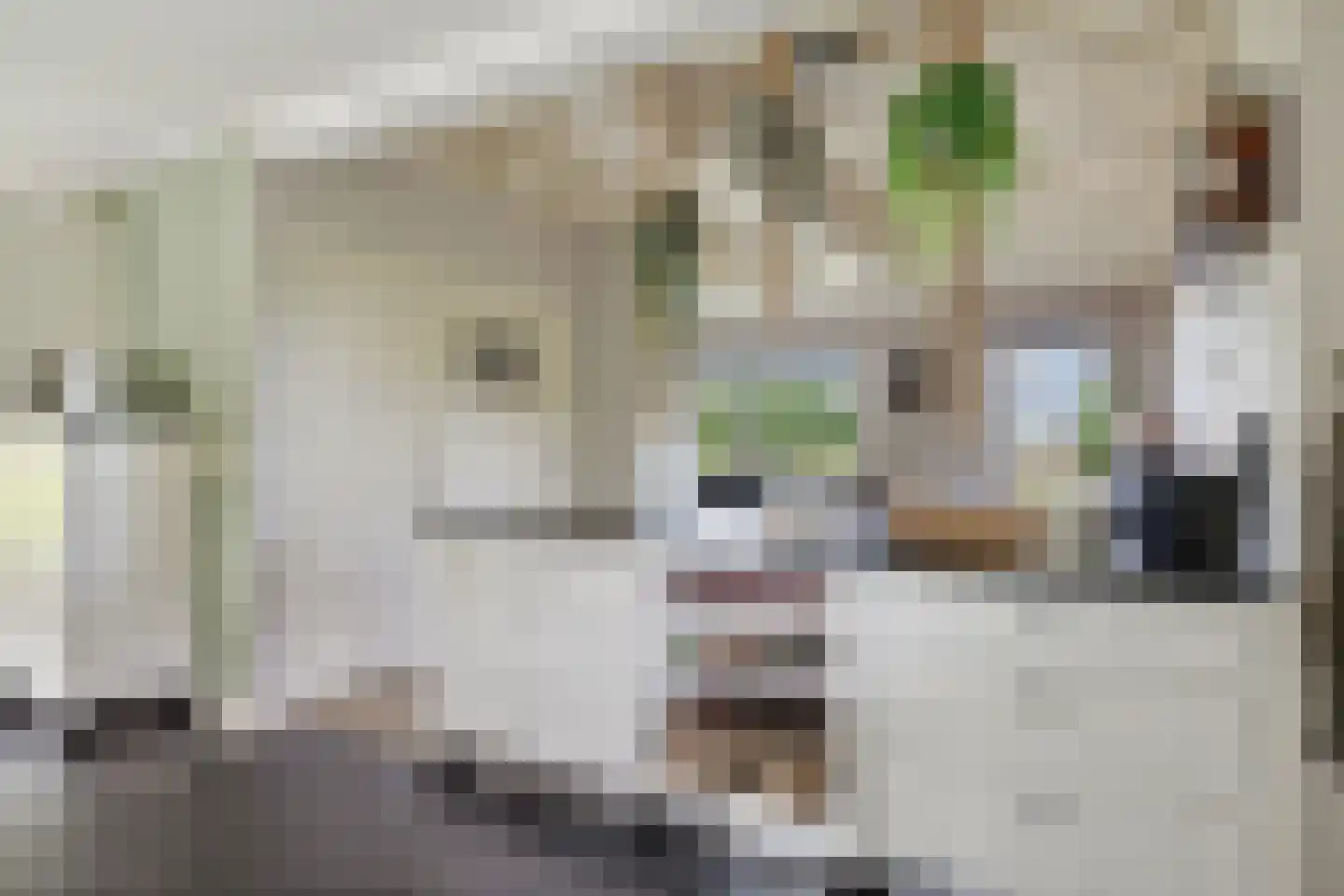 Odoornerstraat 27 Ees thumbnail 14