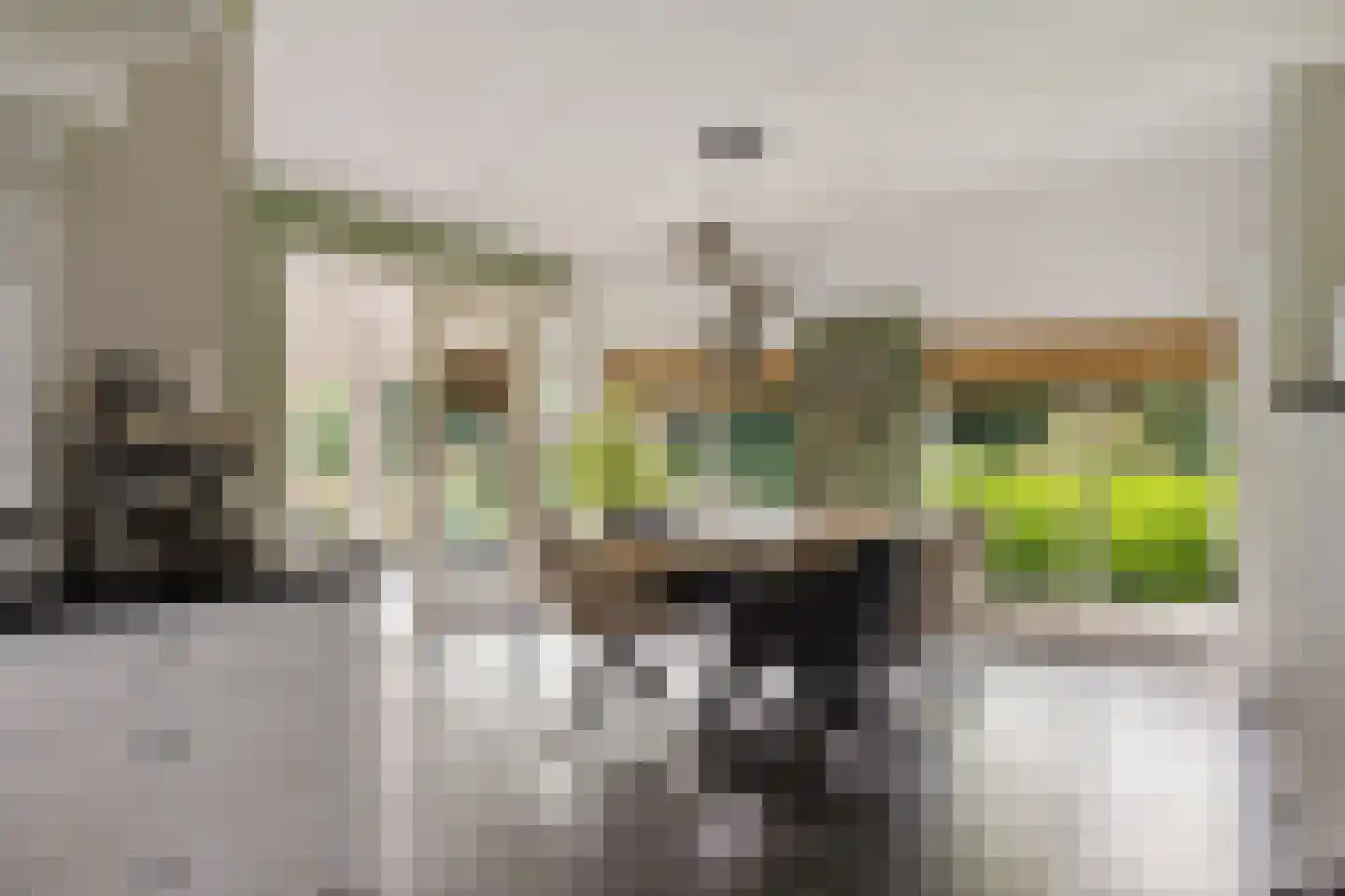Odoornerstraat 27 Ees thumbnail 17