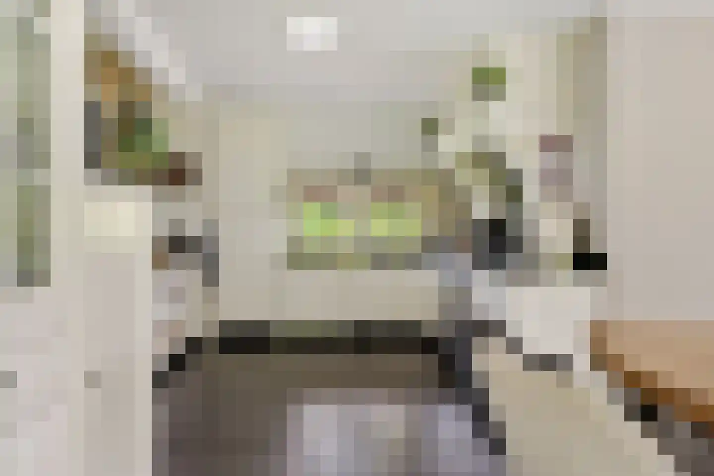 Odoornerstraat 27 Ees thumbnail 18
